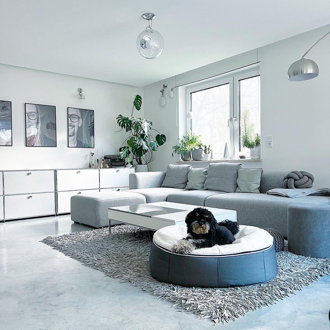 Rund hundeseng i lys stue