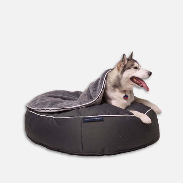 En Siberian Husky ligger på en rund, mörkgrå husdjurssäng med en mjuk fuskepelstrekk hundeseng filt draperad över ryggen. Hunden ser pigg och glad ut med tungan ute mot en vit bakgrund.