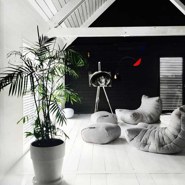 Acoustic Lounge Sett Tundra Spring Innedørs sett