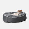 Hundsäng Supernova Gray Wolf M Hundsäng M