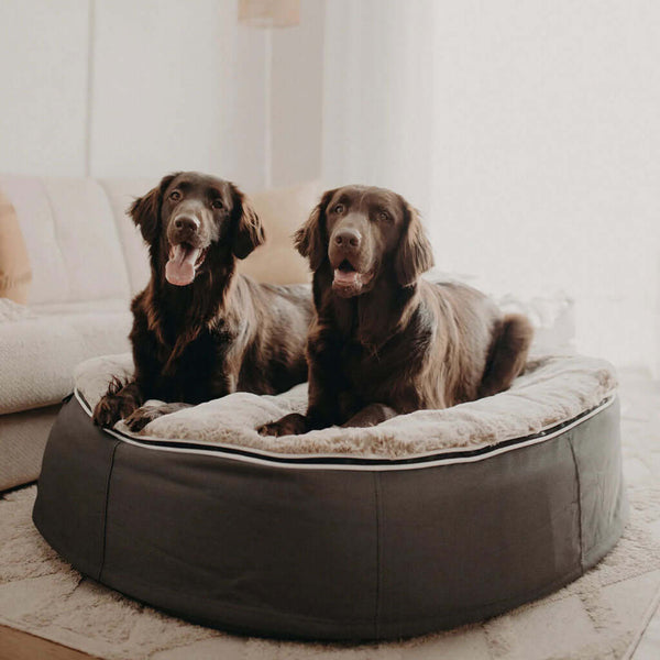 Hundsäng Supernova Cappuccino L Hundsäng L