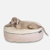 Hundsäng Sandstorm Thermo Quilt Beige L Hundsäng L