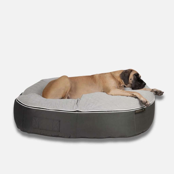 En stor brun hund ligger på sidan och vilar på en rund, grå och svart tyggebestandig hundeseng med vit passpoal mot en vit bakgrund.