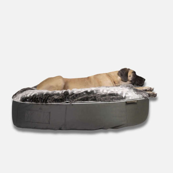 En stor brun hund ligger på sidan och vilar på en plyschig, grå, ovalformad Ambient Lounge hundeseng XL mot en vit bakgrund.
