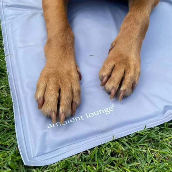 ThermoCool Kylmatta Hundsäng L Tillbehör